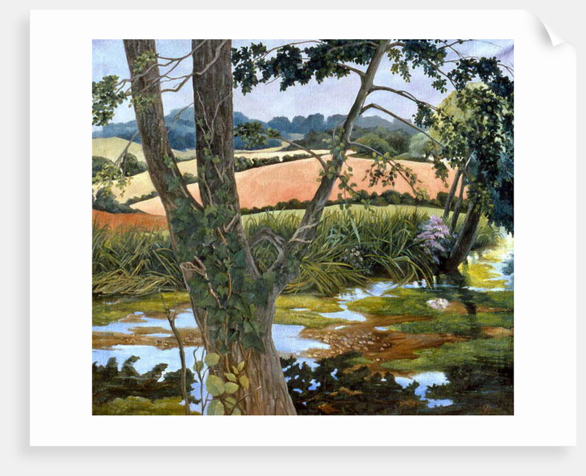 Summer amongst the reeds by Cristiana Angelini
