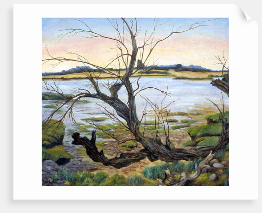 The River Colne by Cristiana Angelini