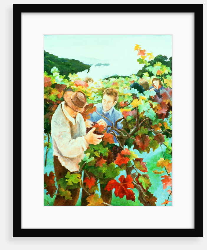 Grape Pickers, 1996 by Cristiana Angelini