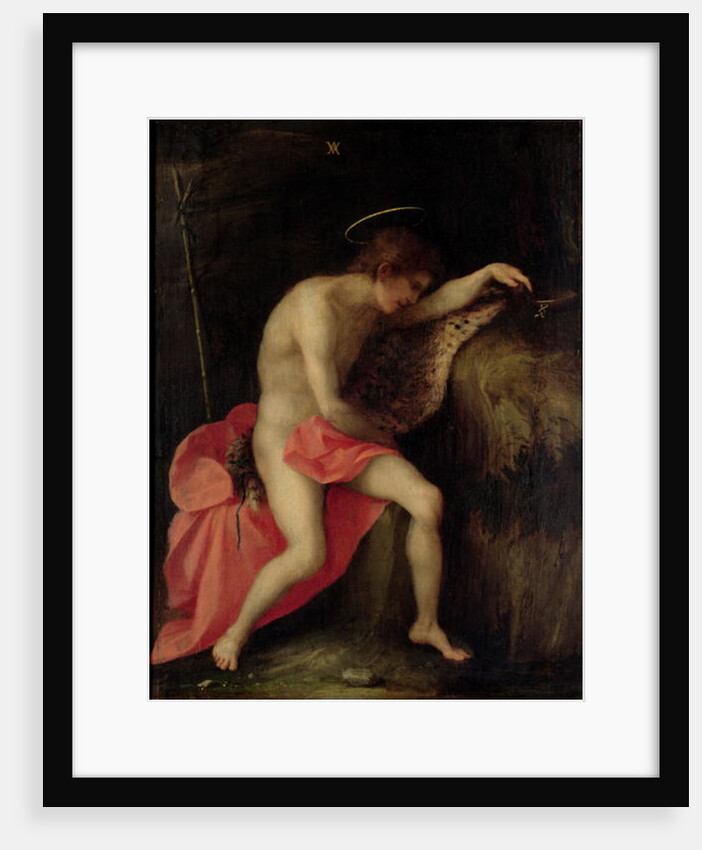 St John the Baptist in the Desert by Andrea del Sarto