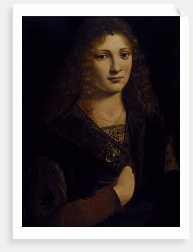 Portrait of a young man, possibly Girolamo Casio, c.1500 by Giovanni Antonio Boltraffio