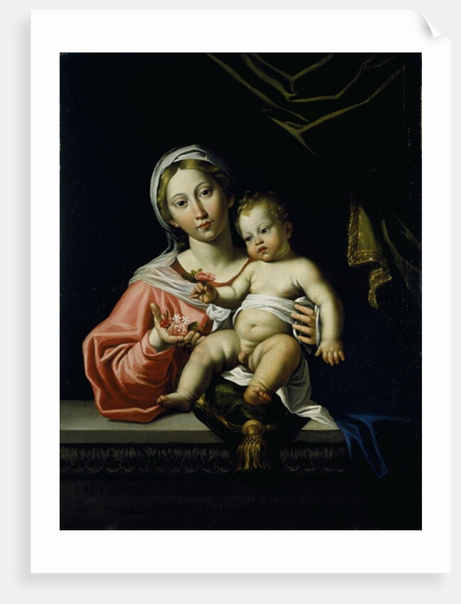 The Madonna della Rosa, before 1627 by Domenichino