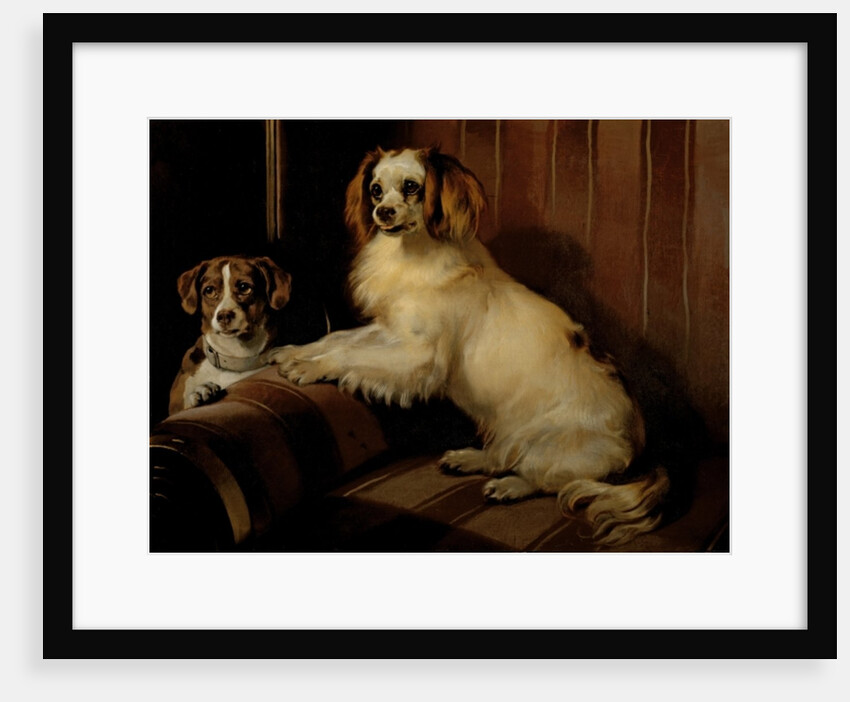 Bony and Var, c.1843 by Edwin Landseer