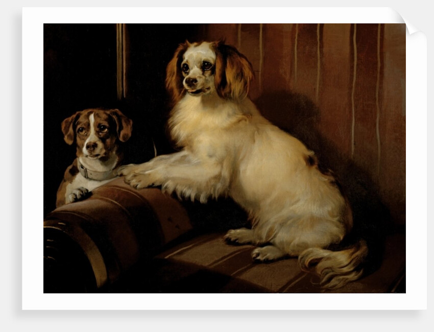 Bony and Var, c.1843 by Edwin Landseer