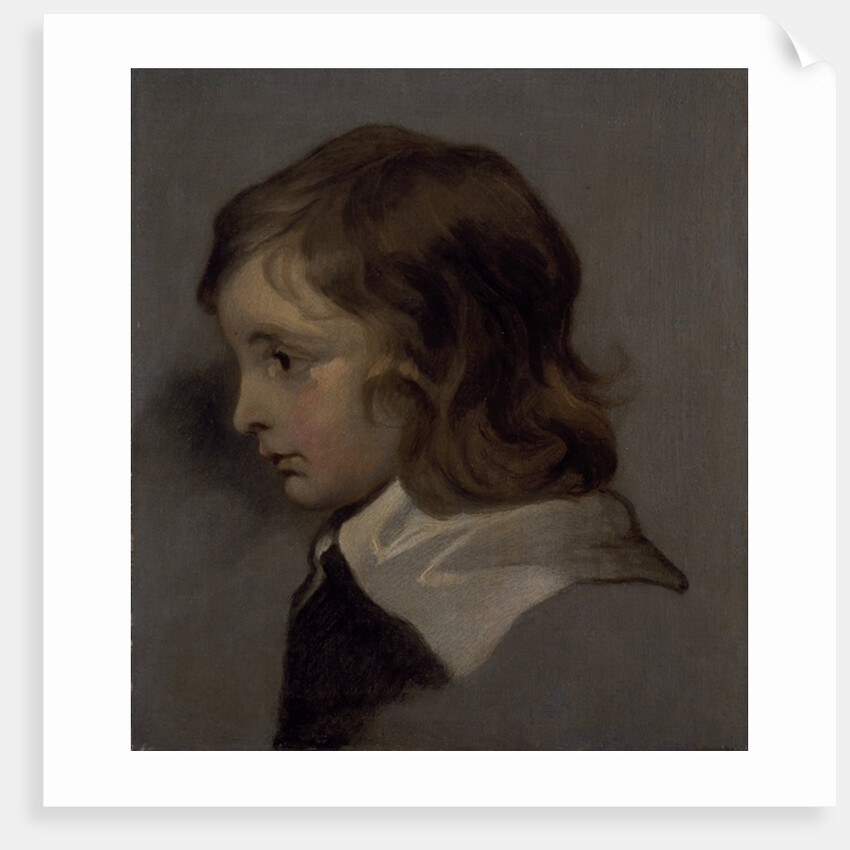 Head of a young boy by Peter Lely