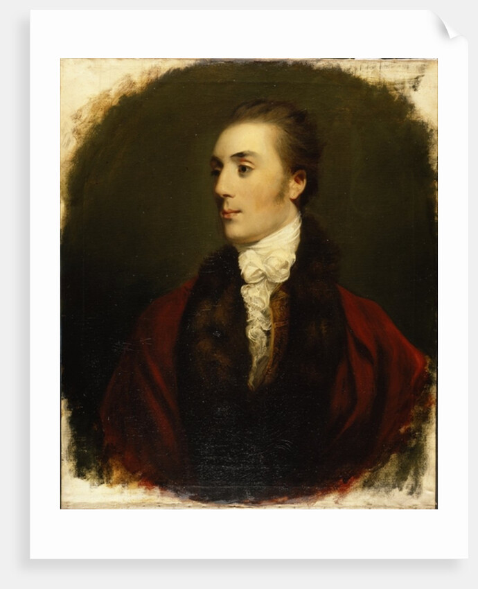 James Hare, M.P. by Joshua Reynolds