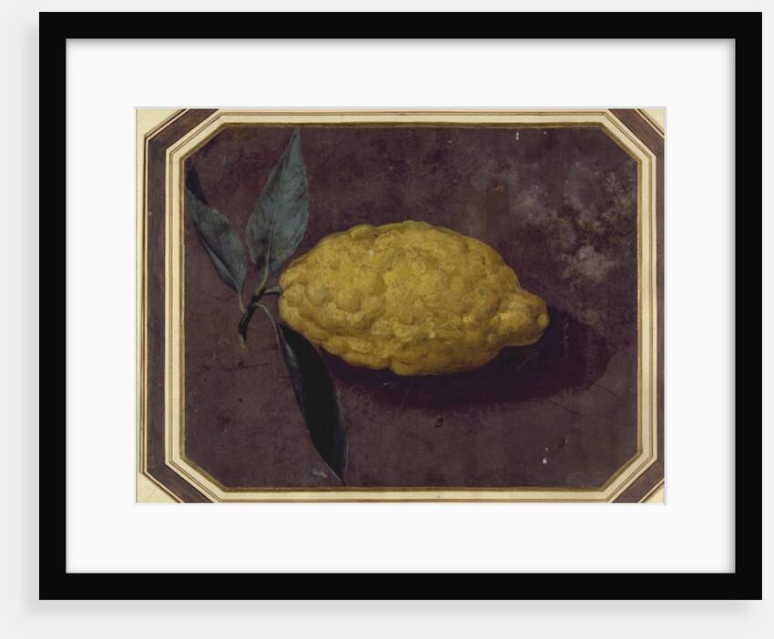 A Lemon by School European