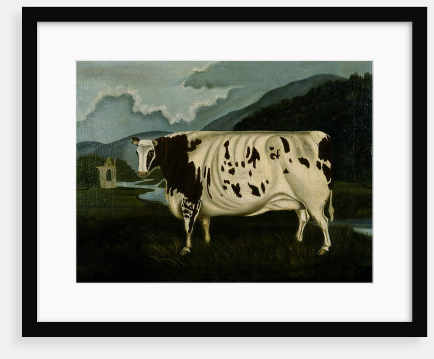 The Famous Craven Heifer by W. D. Fryer