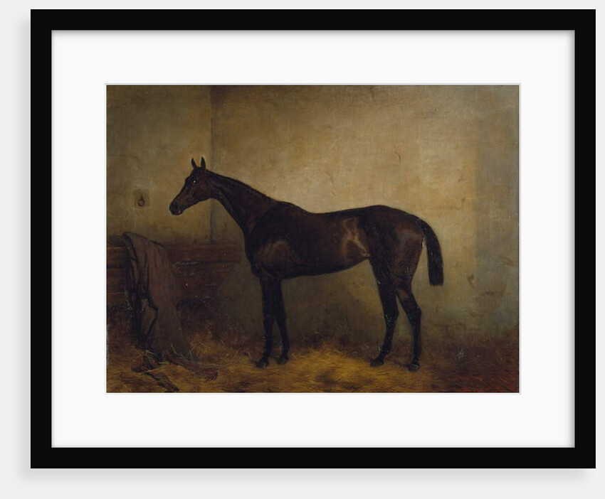 Chaplet, a bay race mare in a loosebox, c.1877 by Harry Hall