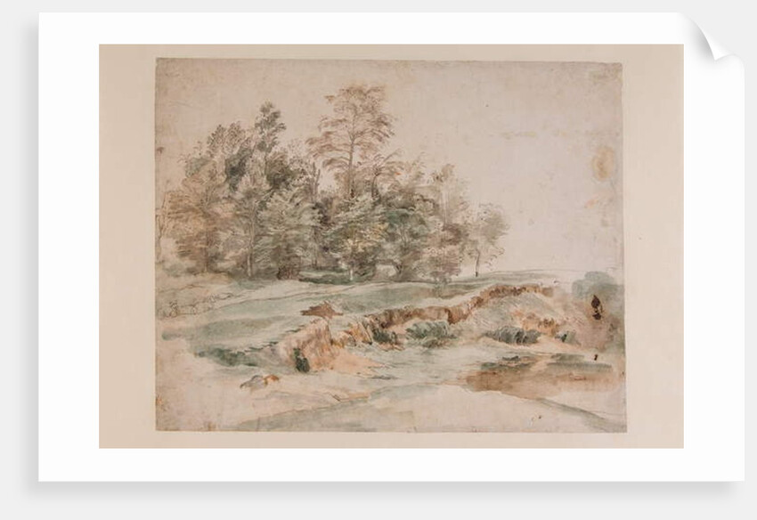 A clump of trees by a wooded road by Anthony van Dyck