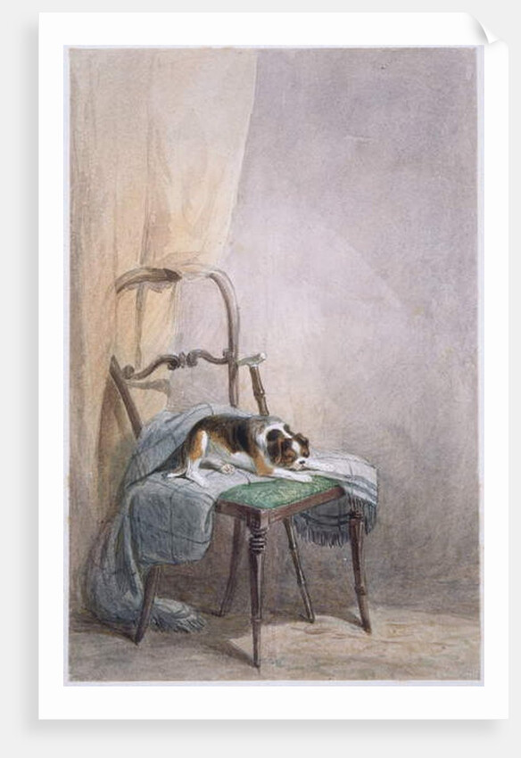 Study of a dog on a chair by William Henry Hunt