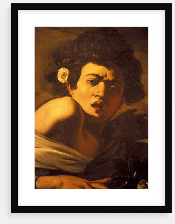 Boy bitten by a lizard, Caravaggio work of art, Palazzo Ducale, Genoa, Ligury, Italy by Anonymous