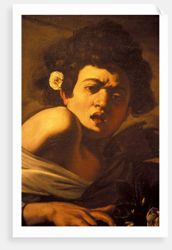Boy bitten by a lizard, Caravaggio work of art, Palazzo Ducale, Genoa, Ligury, Italy by Anonymous