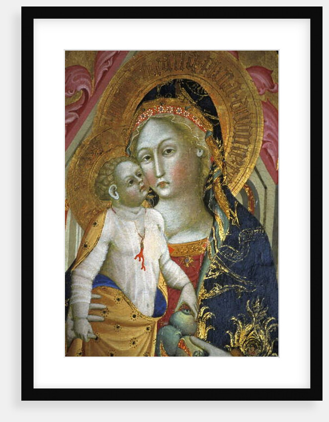 Madonna and child, Francesco di Gentile, XIV century, Piersanti museum, Matelica, Marche, Italy by Anonymous