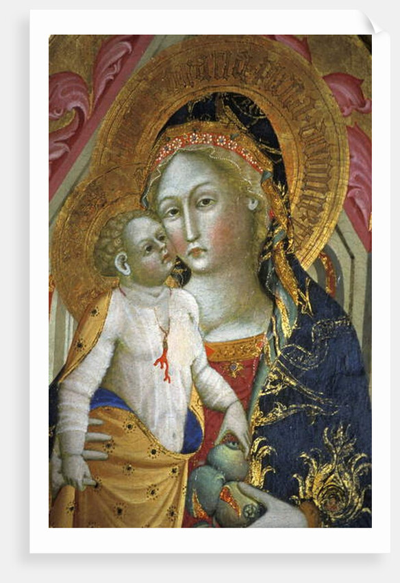 Madonna and child, Francesco di Gentile, XIV century, Piersanti museum, Matelica, Marche, Italy by Anonymous