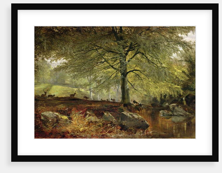 Deer in a Wood by Joseph Adam