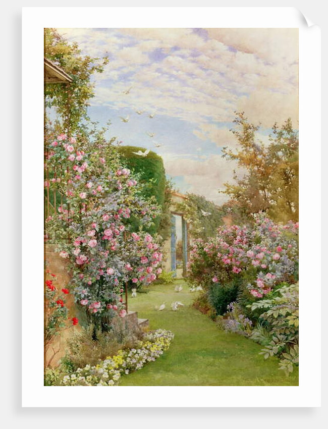 China Roses, Broadway by Alfred Parsons