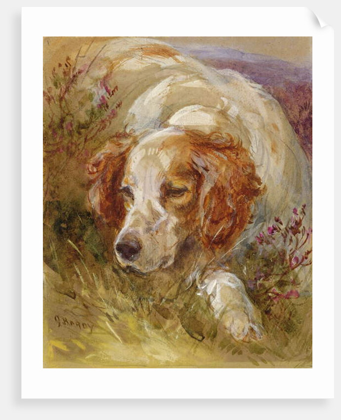 A Spaniel by James Jnr Hardy