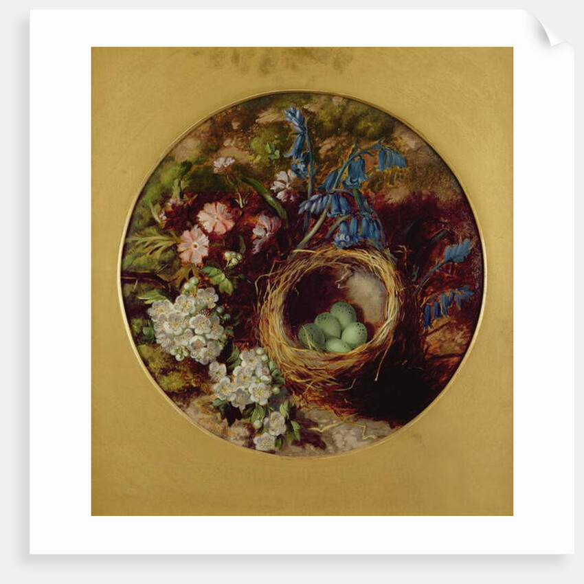 A Still Life with Bird's Nest, Blossom and Bluebells by Henry Stanier