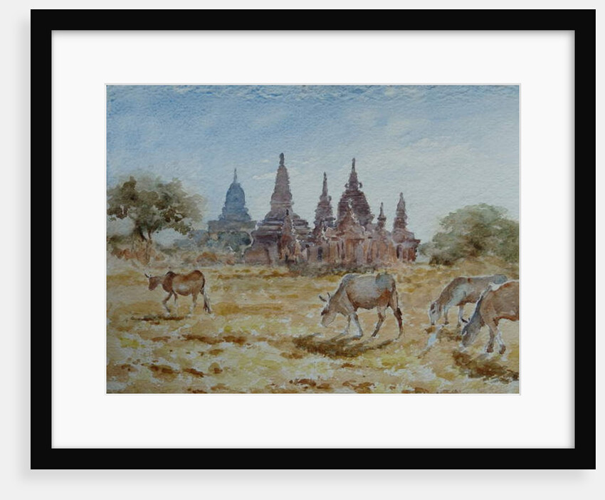 900 From Laymyethna, Bagan by Clive Wilson