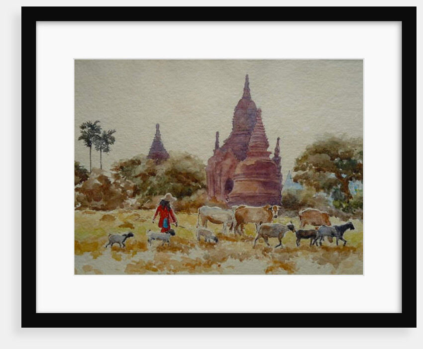901 Bagan, herding among the temples by Clive Wilson