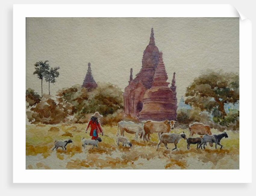 901 Bagan, herding among the temples by Clive Wilson