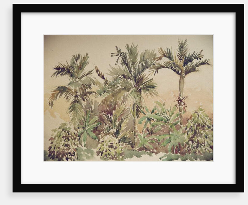 731 Pepper, bananas & areca nuts by Clive Wilson