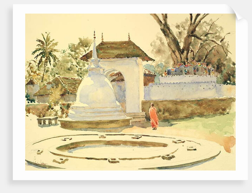 720 The Bodhi Tree, Kandy by Clive Wilson