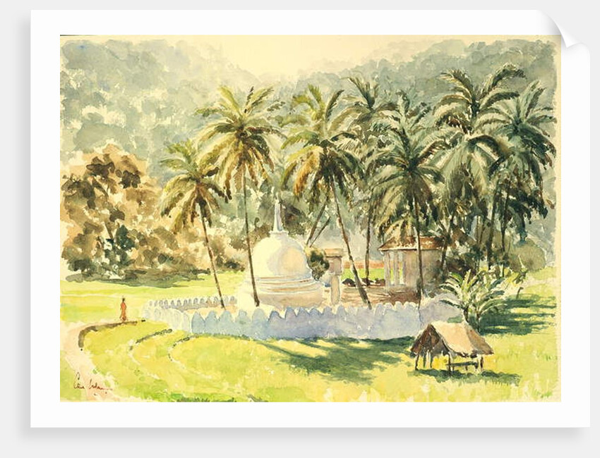 730 Temple in the paddy fields by Clive Wilson