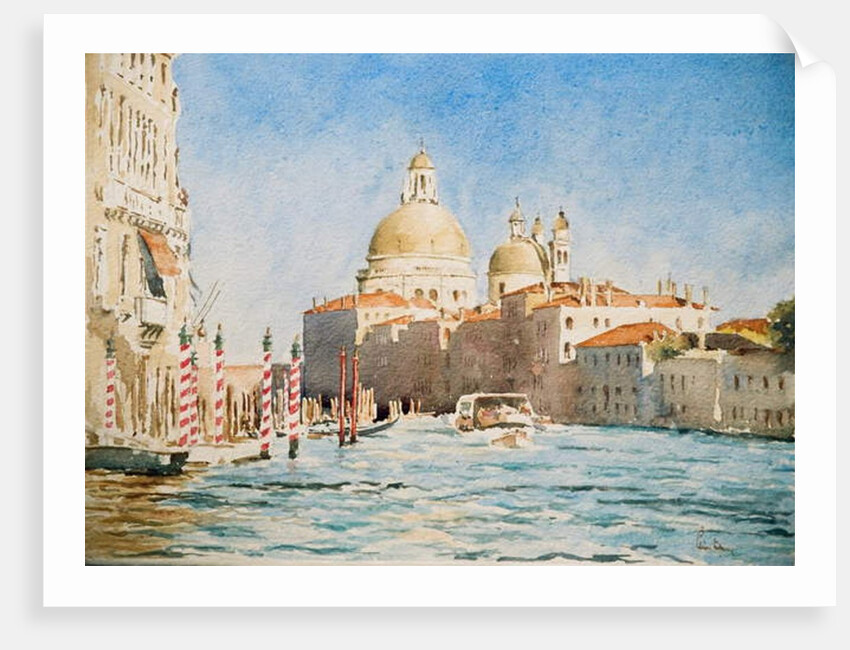 773 Salute - afternoon sun by Clive Wilson