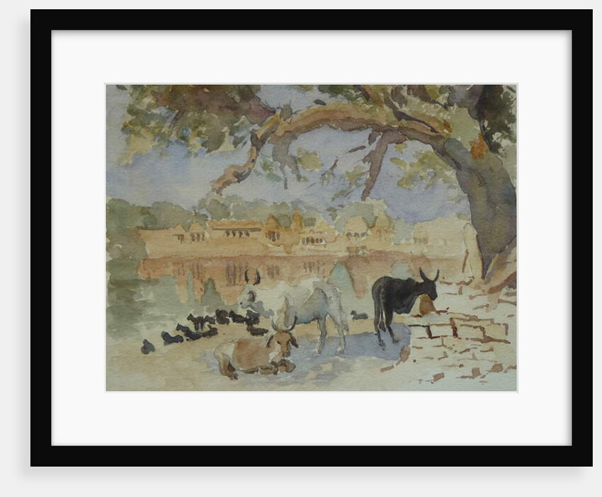 435A Jaisalmer - Gadi Sagar by Clive Wilson