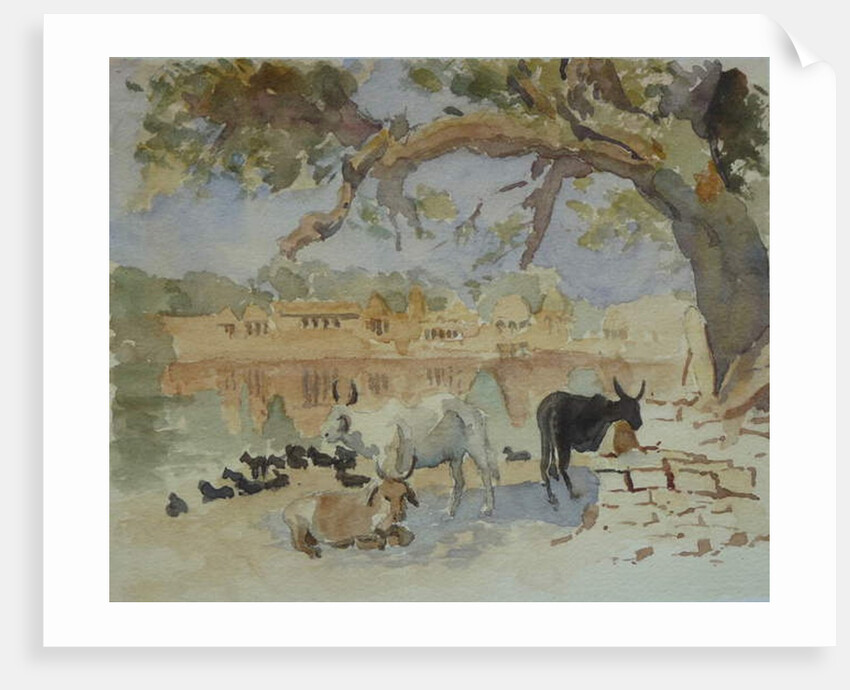 435A Jaisalmer - Gadi Sagar by Clive Wilson