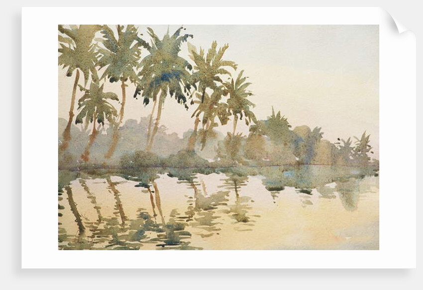 614 Dawn on the backwaters by Clive Wilson