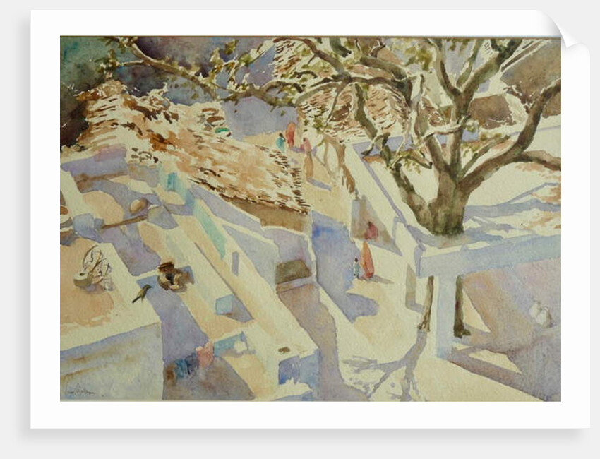 697 Village life, Rajasthan by Clive Wilson