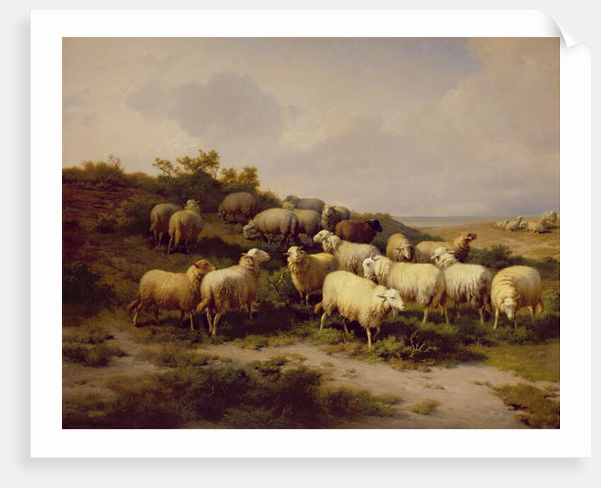 Sheep on the Coast, 1878 by Eugene Joseph Verboeckhoven