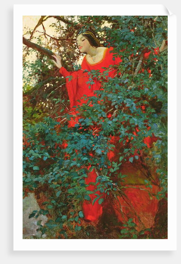 So for a heart-beat she saw him by Howard Pyle