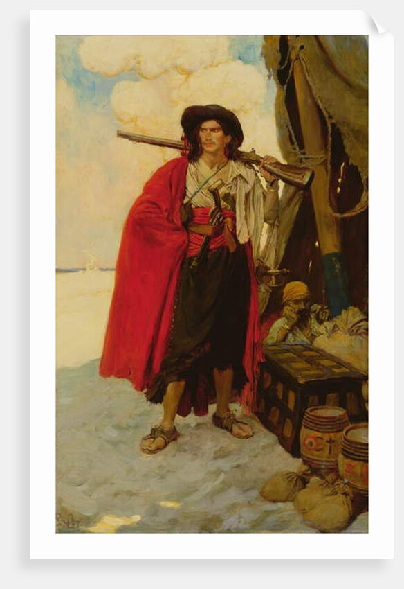 The Buccaneer Was a Picturesque Fellow by Howard Pyle