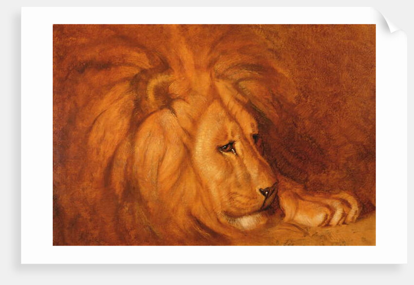 Lion at Rest by Abbott Handerson Thayer