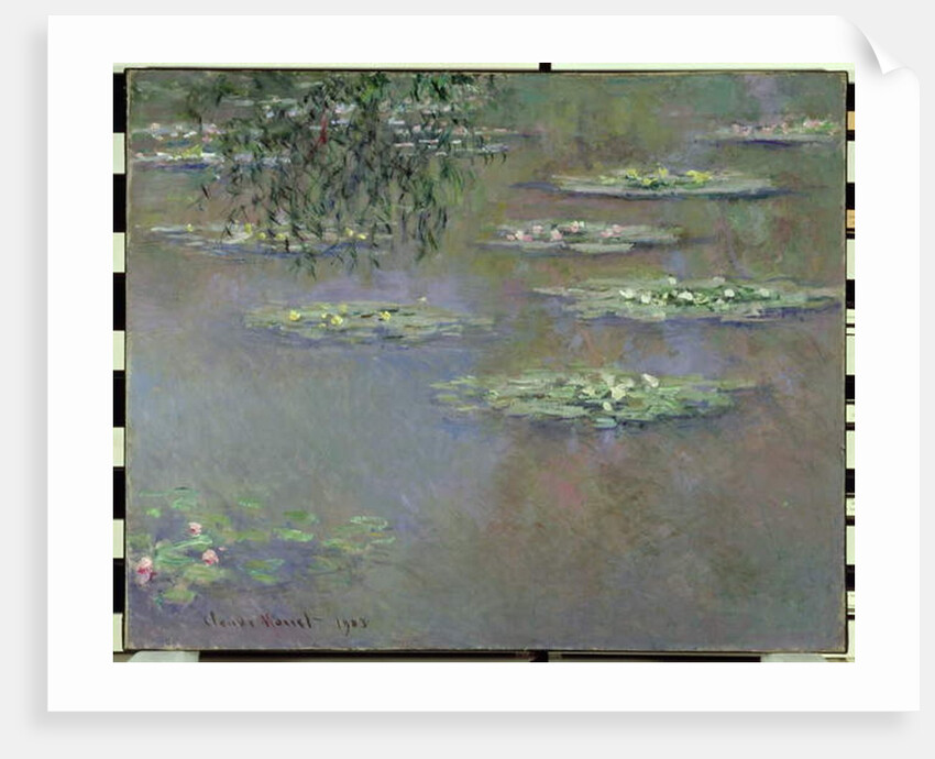 Waterlilies, 1903 by Claude Monet