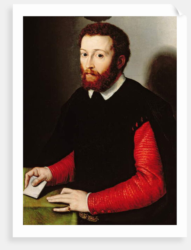 Portrait of a Man Holding a Letter, c.1530-40 by Francesco de Rossi Salviati Cecchino