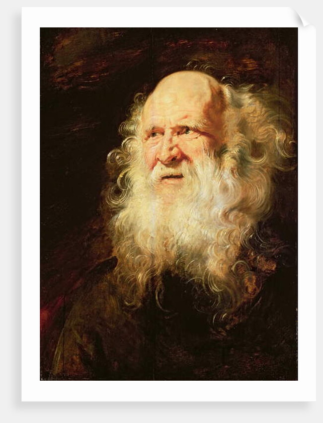 Study of Heads of an Old Man, c.1612 by Peter Paul Rubens