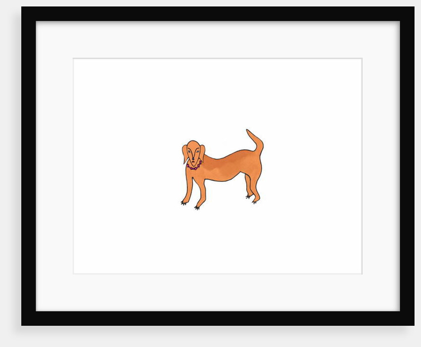 Dog by Daisy de Villeneuve