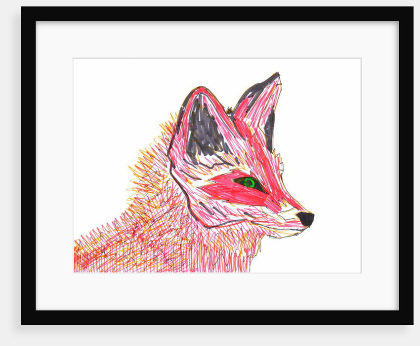 Fox by Daisy de Villeneuve