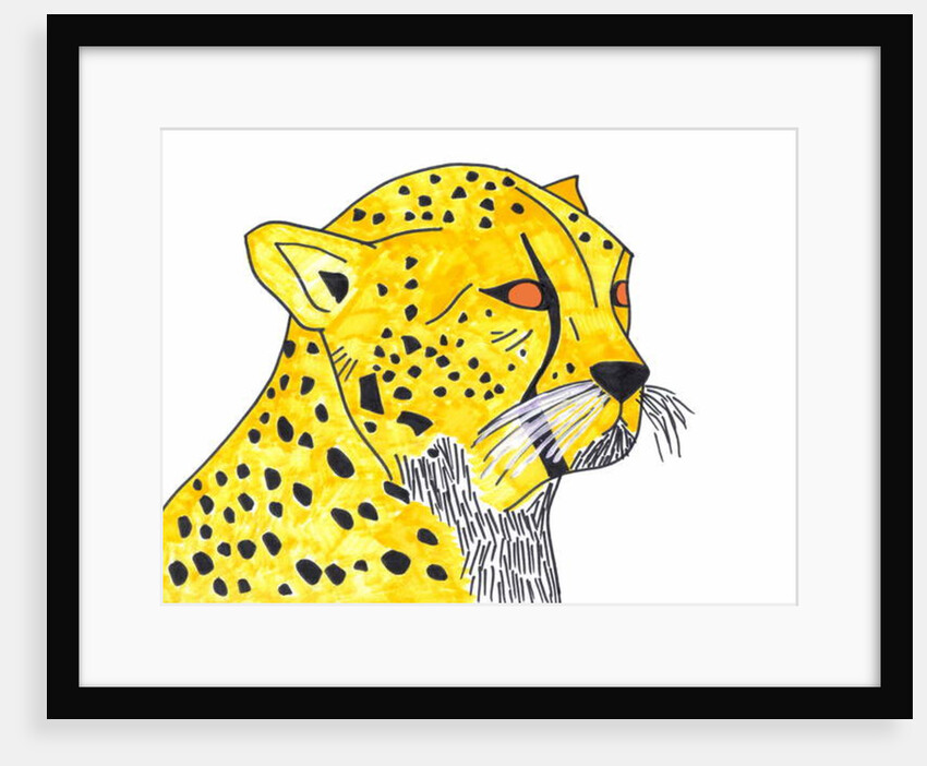 Cheetah by Daisy de Villeneuve