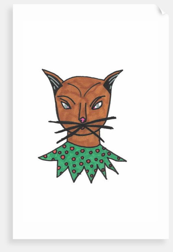 Cat Face by Daisy de Villeneuve