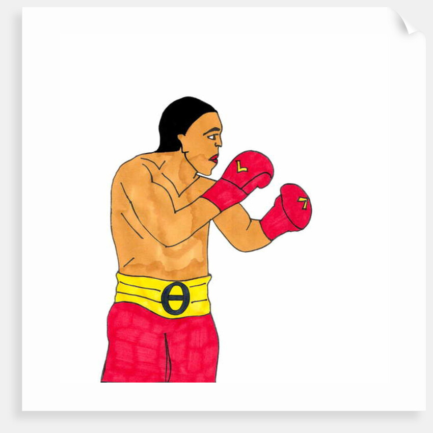 Boxer by Daisy de Villeneuve