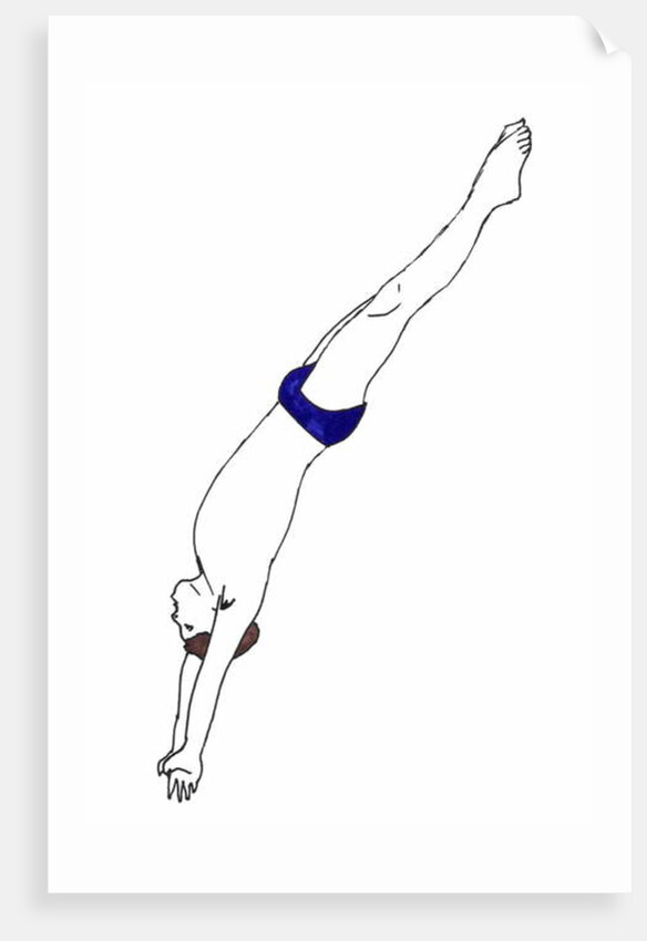 Diver, 2012 by Daisy de Villeneuve