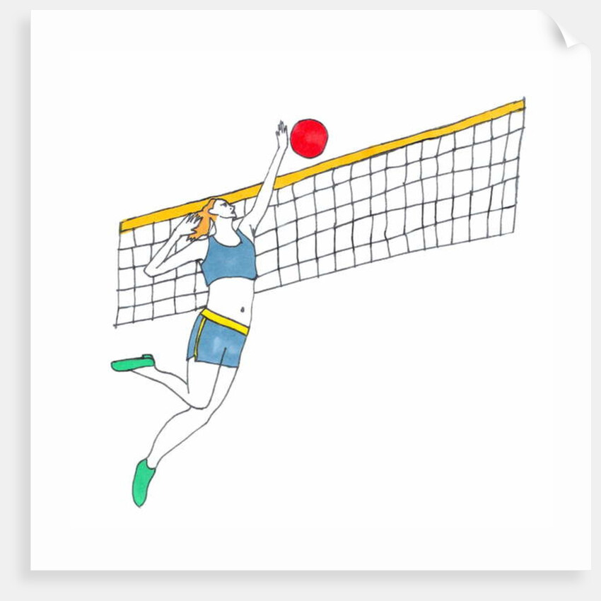 Volleyball by Daisy de Villeneuve