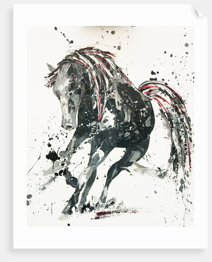 Capriccio, 2014 by Penny Warden