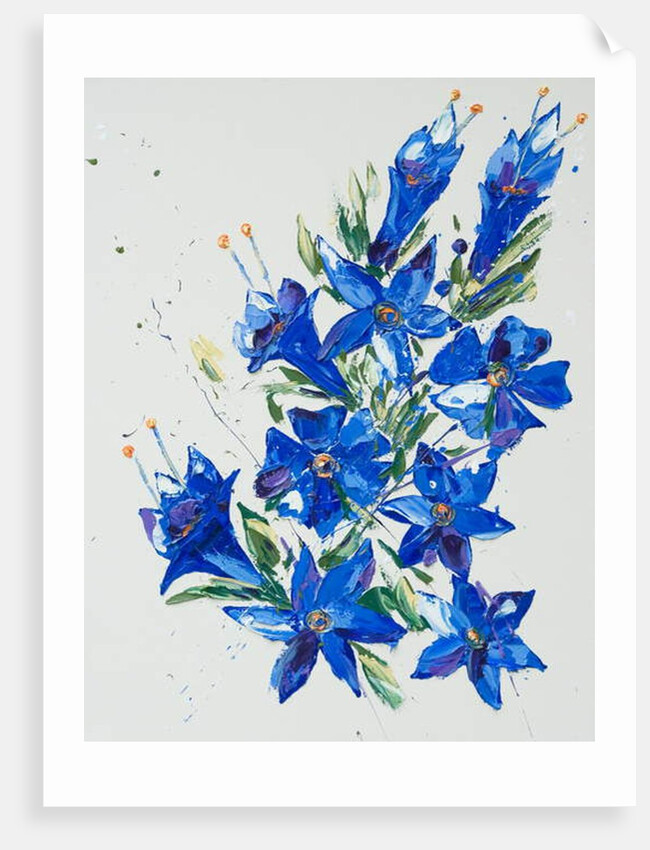 Flower, 2007 by Penny Warden